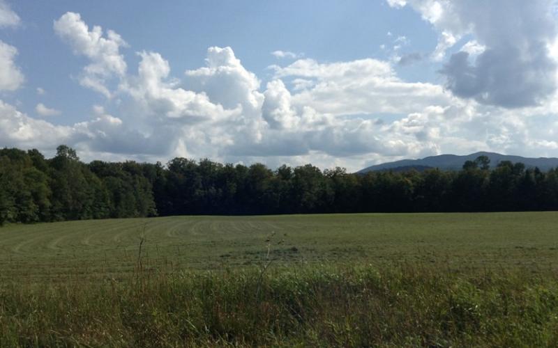 Near the Cornell Uihlein Sugar Maple Research/Extension Field Station.