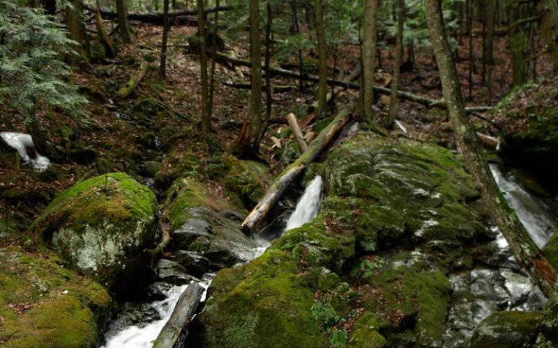 Many brook and stream views.
