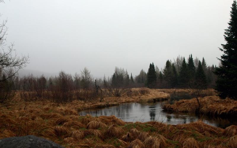 Late fall is a lovely time to visit South Meadow.
