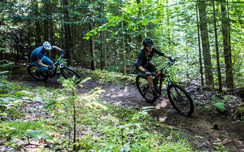 A pair of riders hug a turn on a mountain bike trail