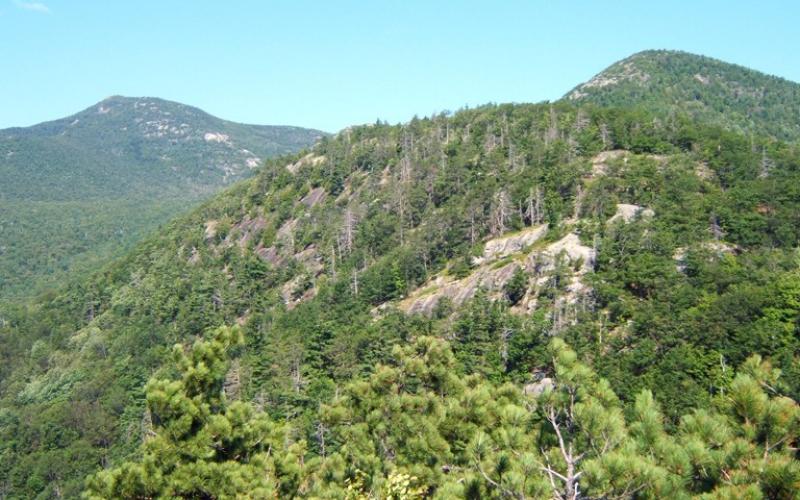 For an easy hike