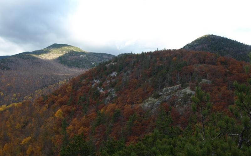 Enjoy the rich play of color even in the late fall.