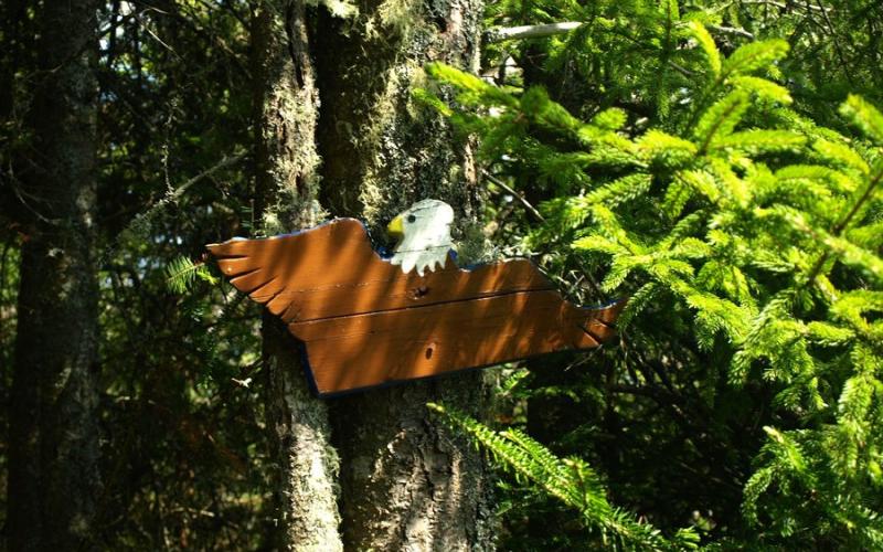 A wooden eagle sign