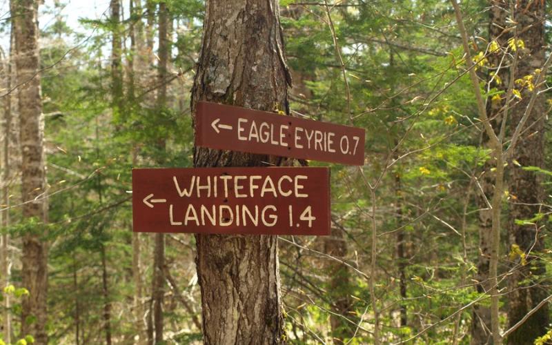 Wooden signs for Whiteface Landing and Eagle Eyrie