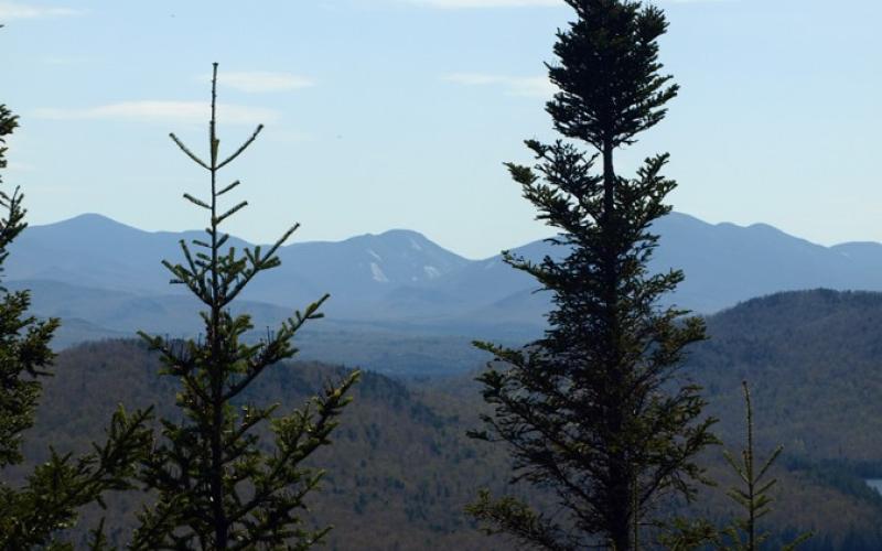 A view of mountains through spruce trees